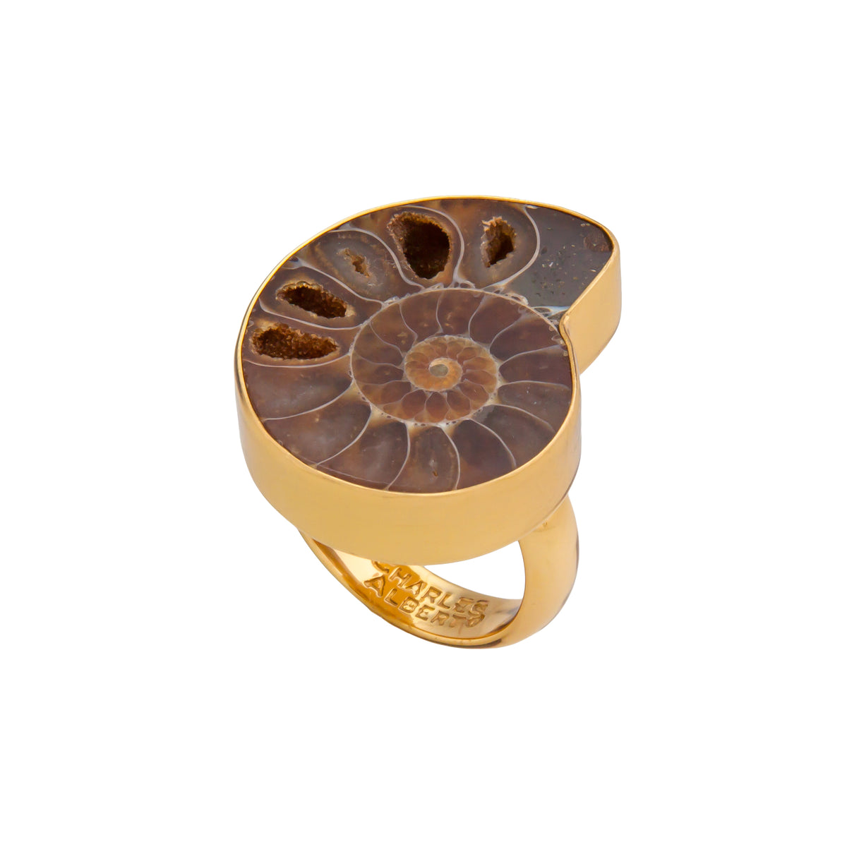 Alchemia Ammonite Adjustable Ring | Charles Albert Jewelry