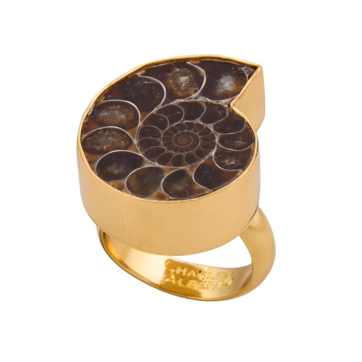 Alchemia Ammonite Adjustable Ring | Charles Albert Jewelry