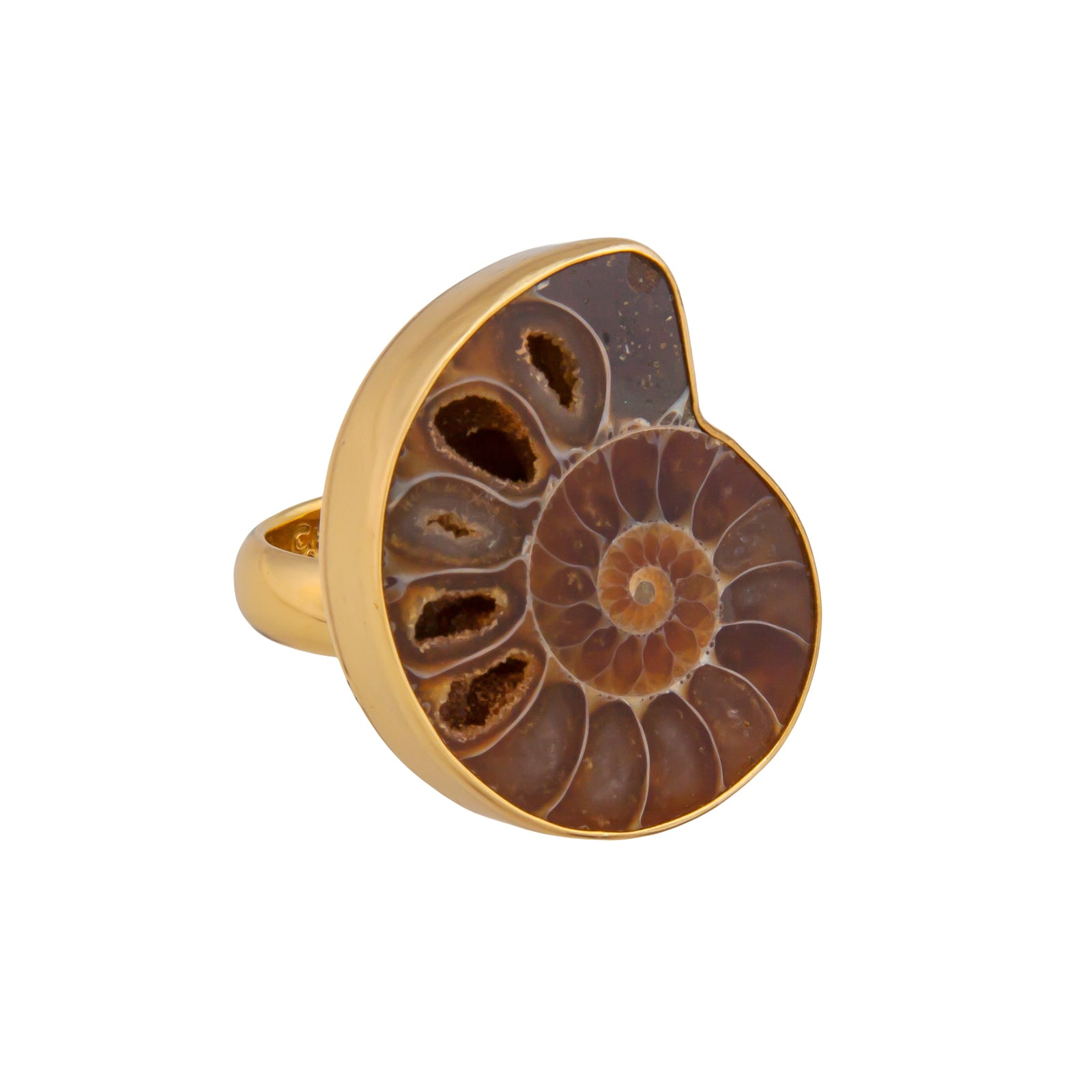 Alchemia Ammonite Adjustable Ring | Charles Albert Jewelry