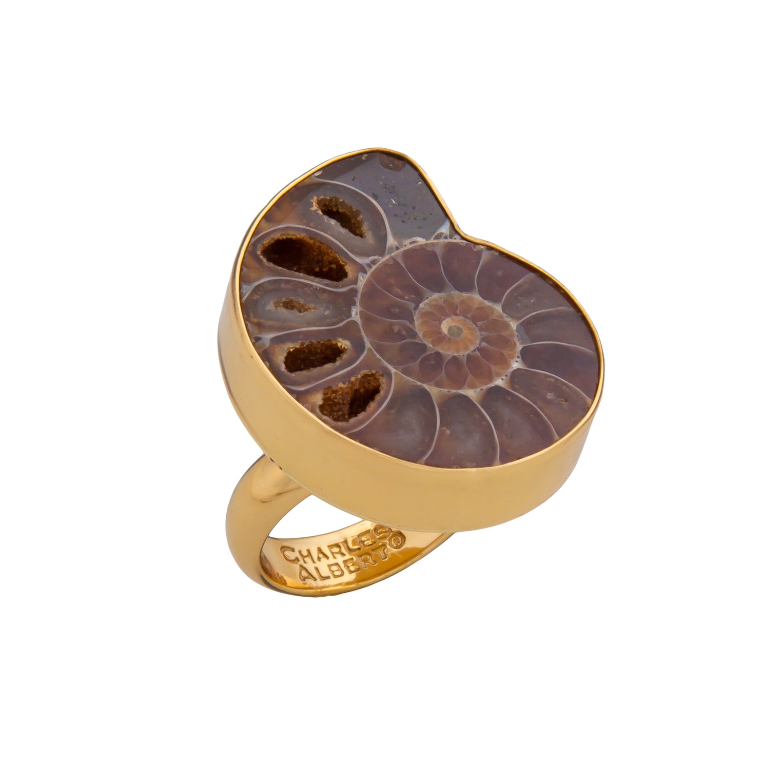 Alchemia Ammonite Adjustable Ring | Charles Albert Jewelry