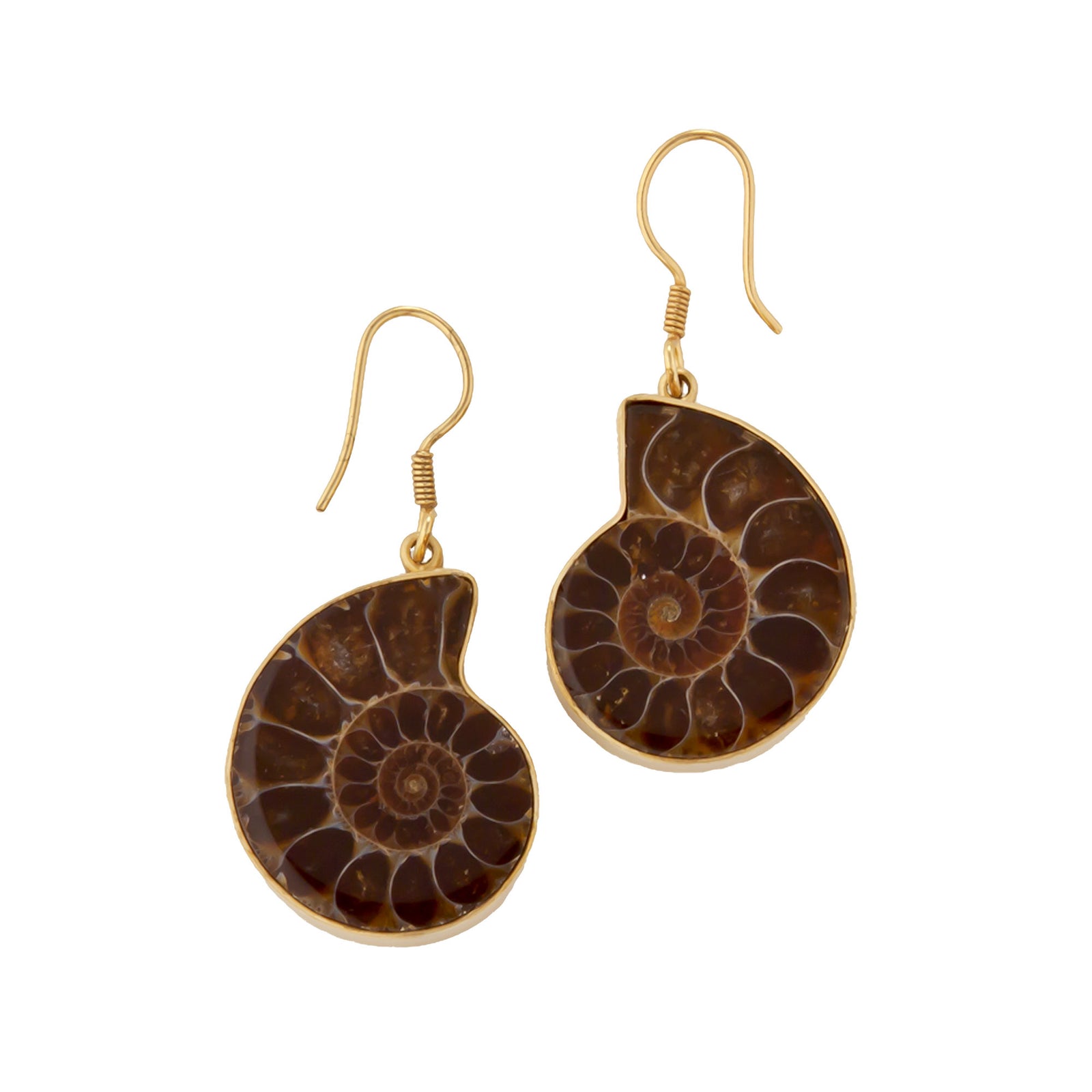 Alchemia Ammonite Earrings | Charles Albert Jewelry