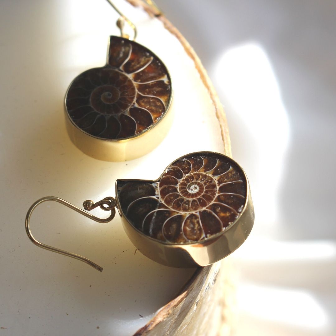 Black crystalized ammonite fossil earrings and factory pendant set with sterling silver and gold leaf accents