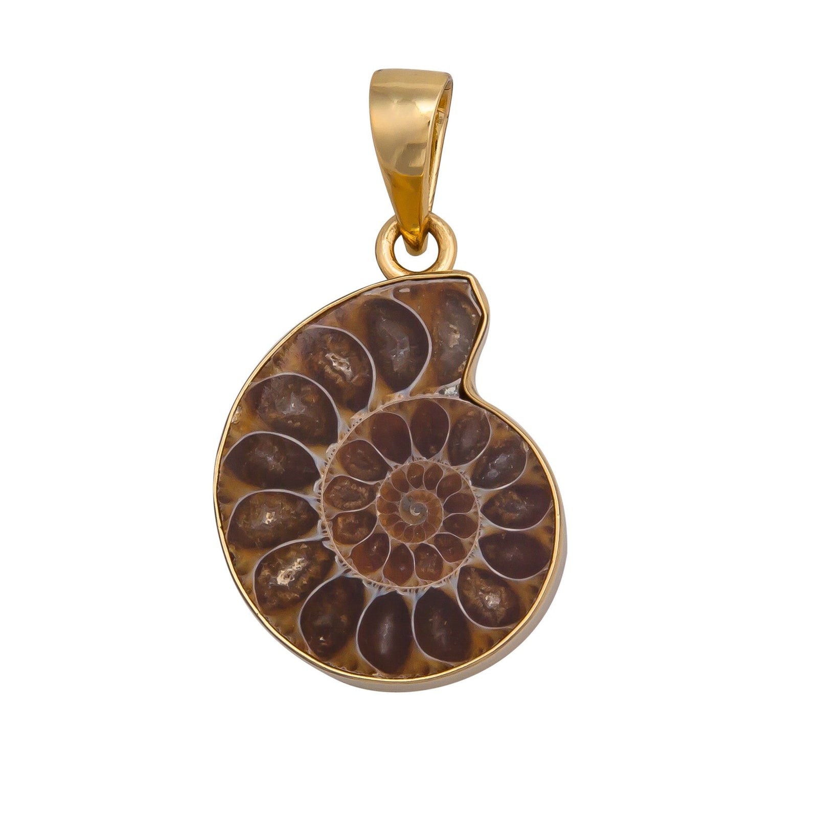 Alchemia Ammonite Pendant | Charles Albert Jewelry