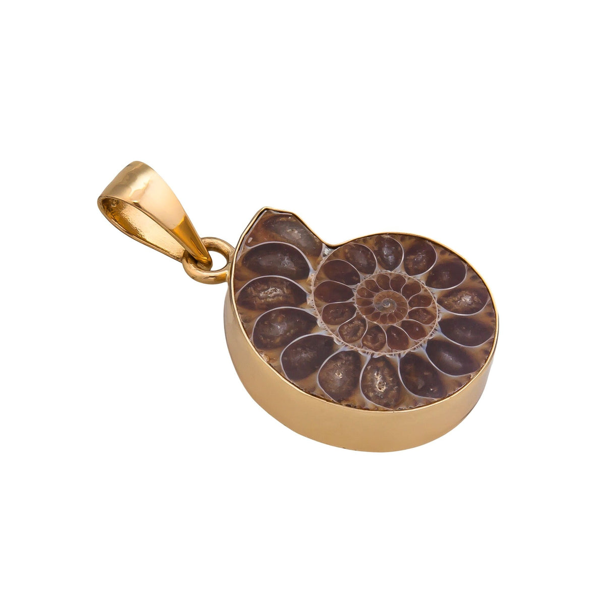 Alchemia Ammonite Pendant | Charles Albert Jewelry