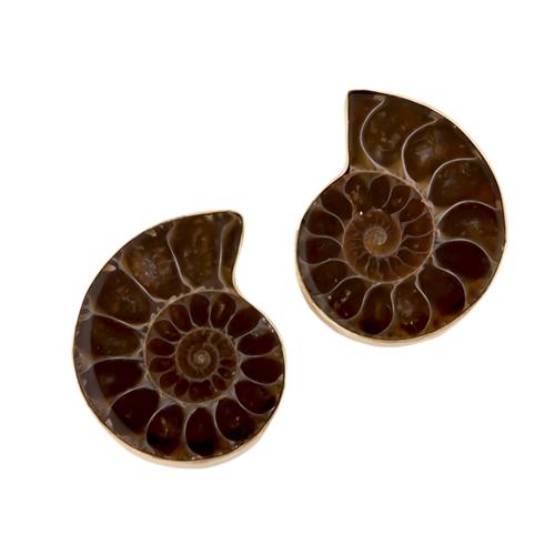 Alchemia Ammonite Post Earrings | Charles Albert Jewelry