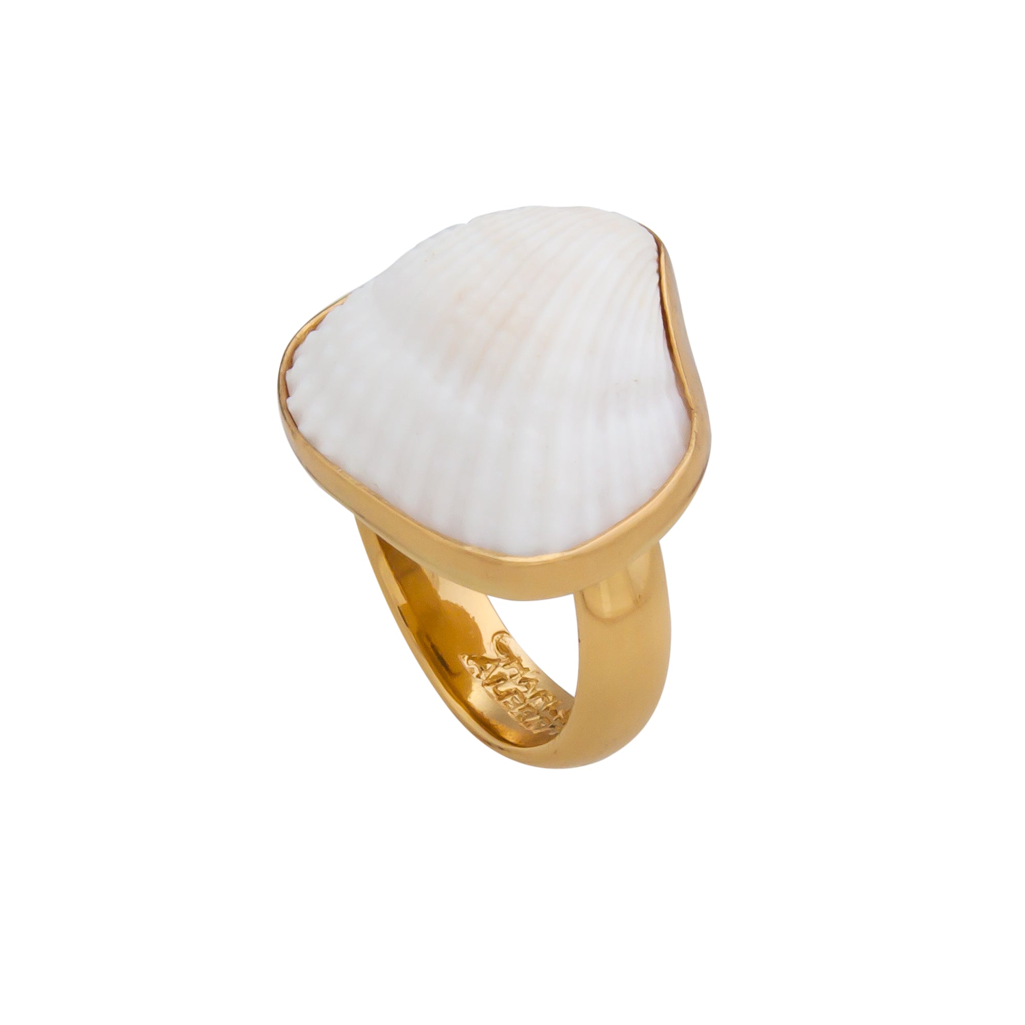 Alchemia Ark Shell Adjustable Ring | Charles Albert Jewelry