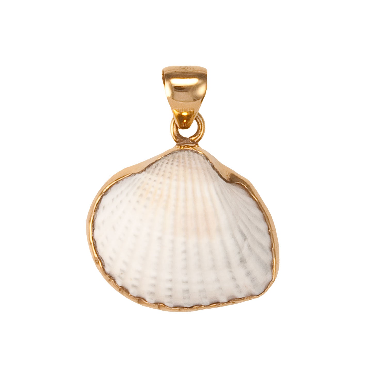 Alchemia Ark Shell Pendant | Charles Albert Jewelry