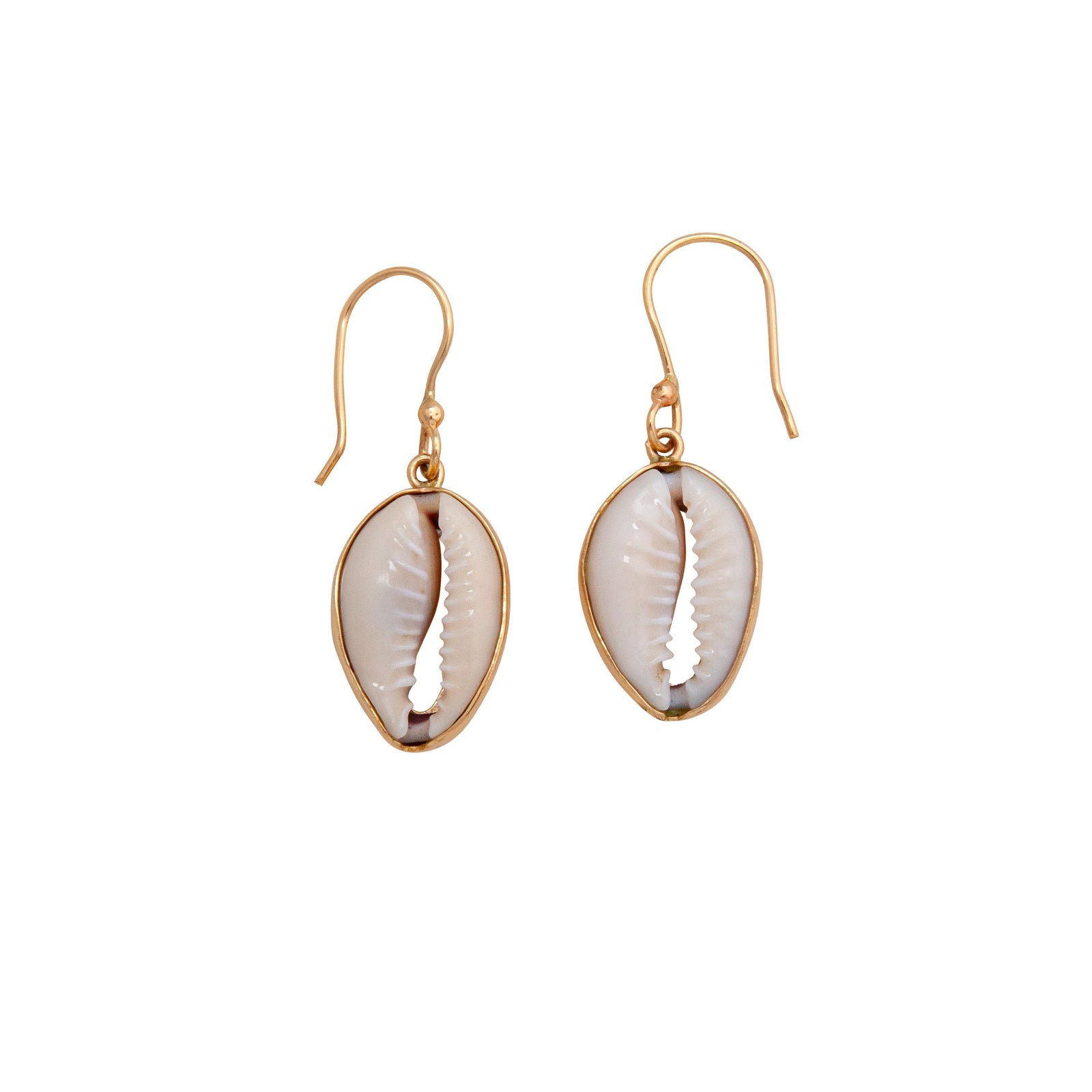 Alchemia Cowry Shell Drop Earrings | Charles Albert Jewelry