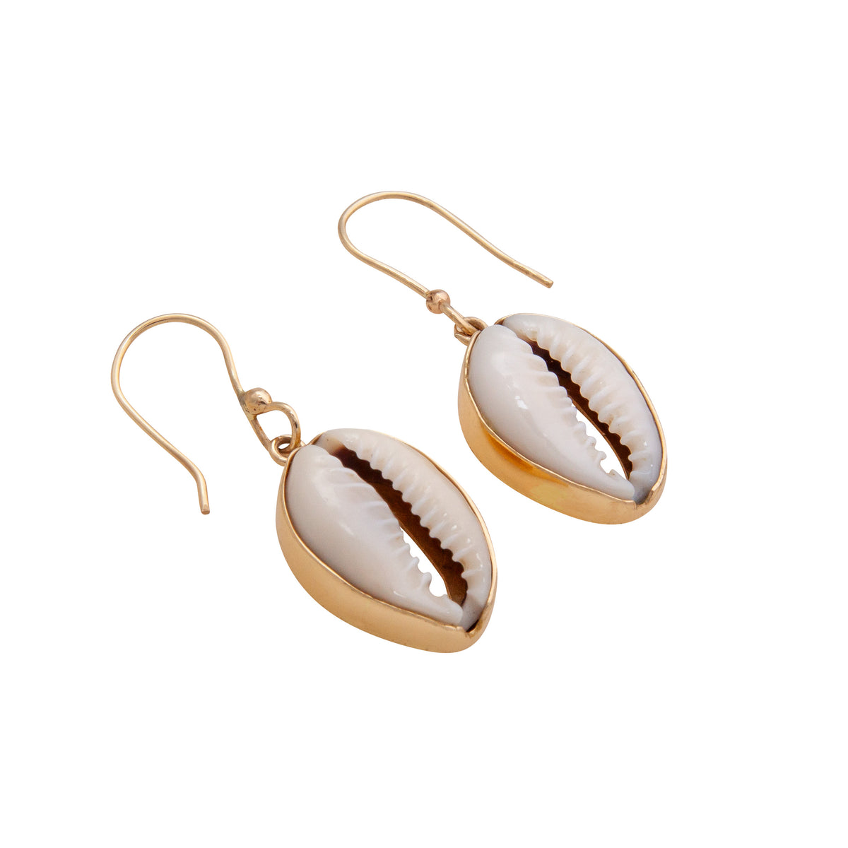 Alchemia Cowry Shell Drop Earrings | Charles Albert Jewelry