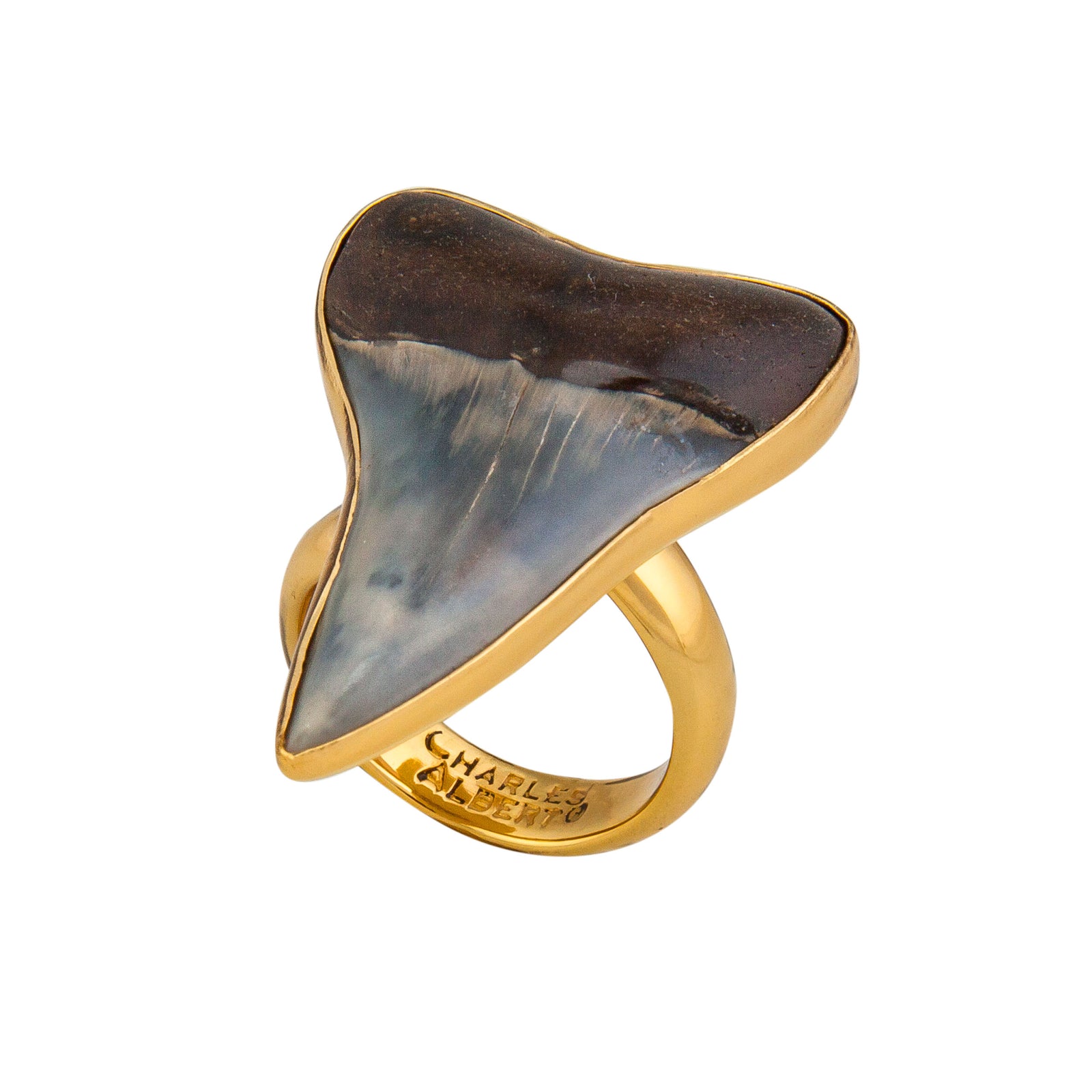 Alchemia Fossil Shark Tooth Adjustable Ring | Charles Albert Jewelry