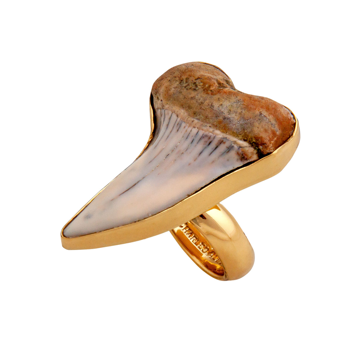 Alchemia Fossil Shark Tooth Adjustable Ring | Charles Albert Jewelry