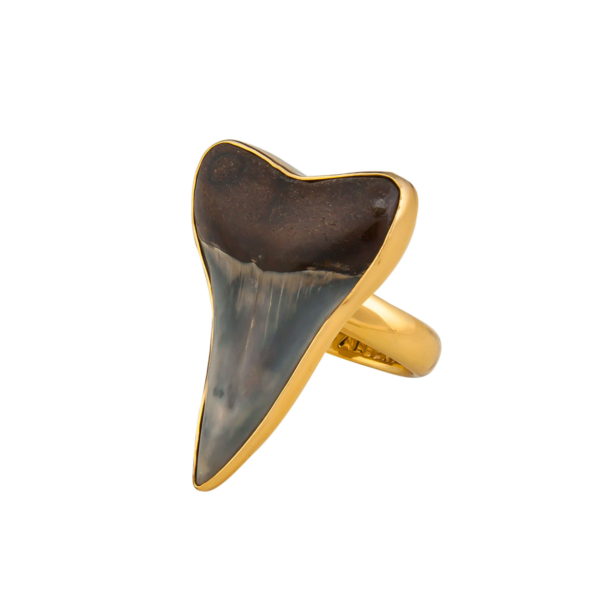 Alchemia Fossil Shark Tooth Adjustable Ring | Charles Albert Jewelry