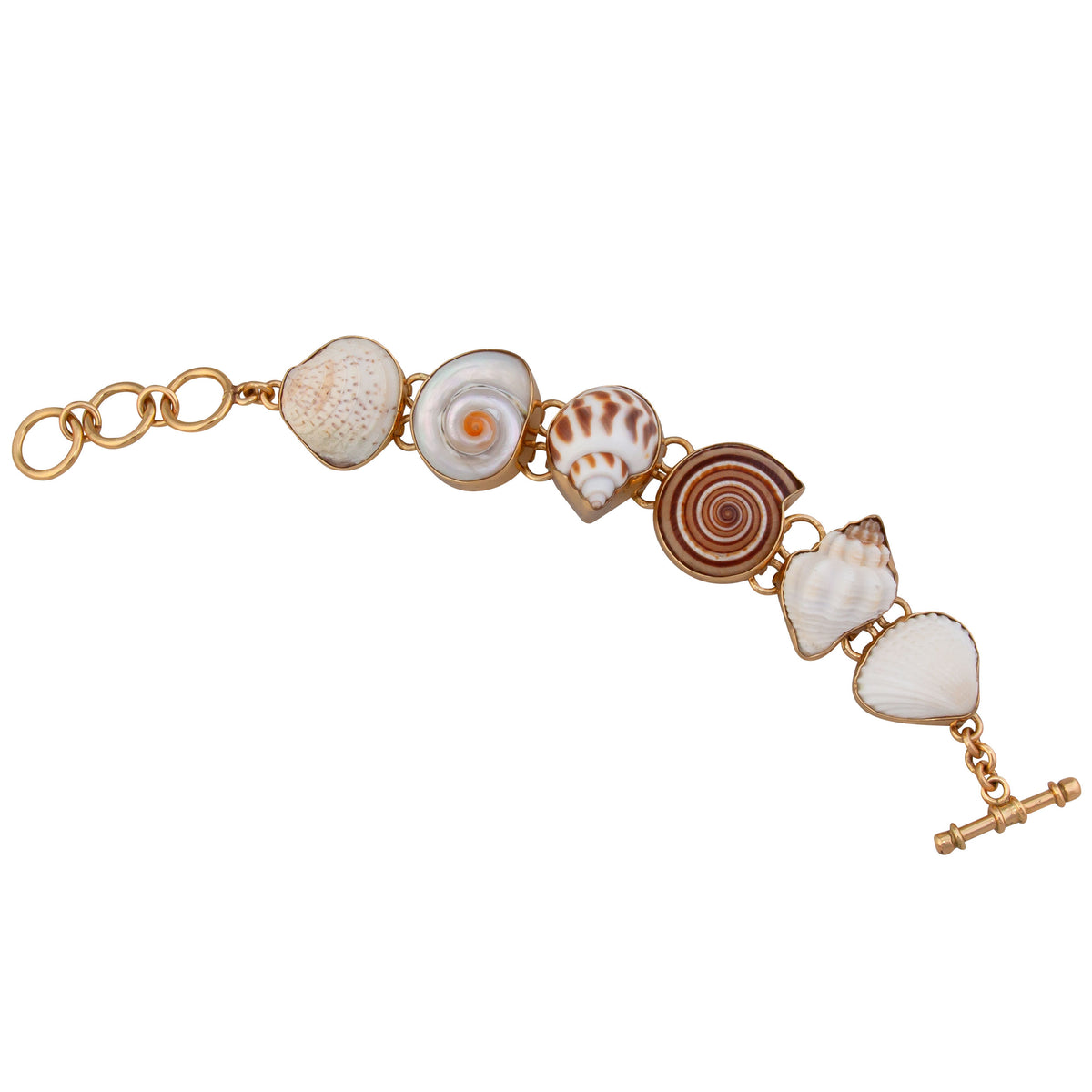 Alchemia Multi-Shell Bracelet | Charles Albert Jewelry