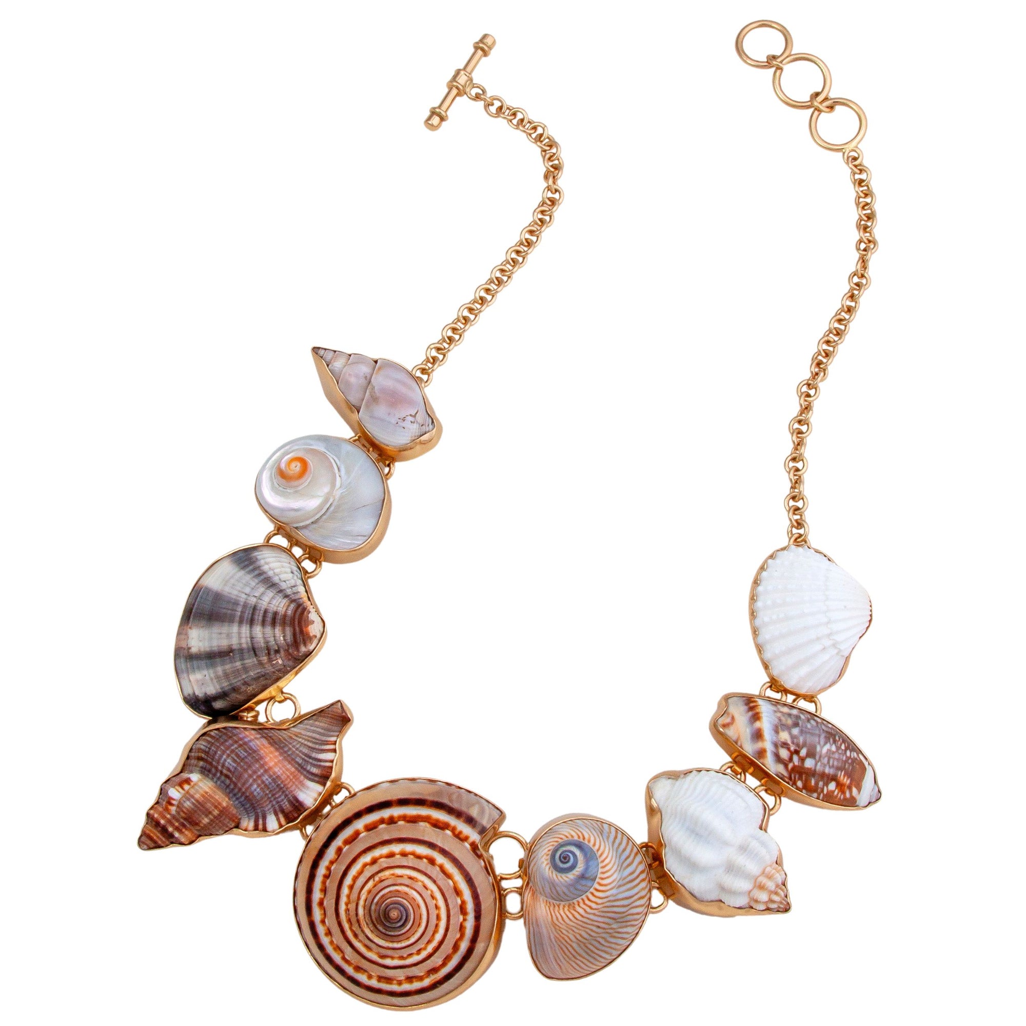 Alchemia Multi-Shell Necklace | Charles Albert Jewelry