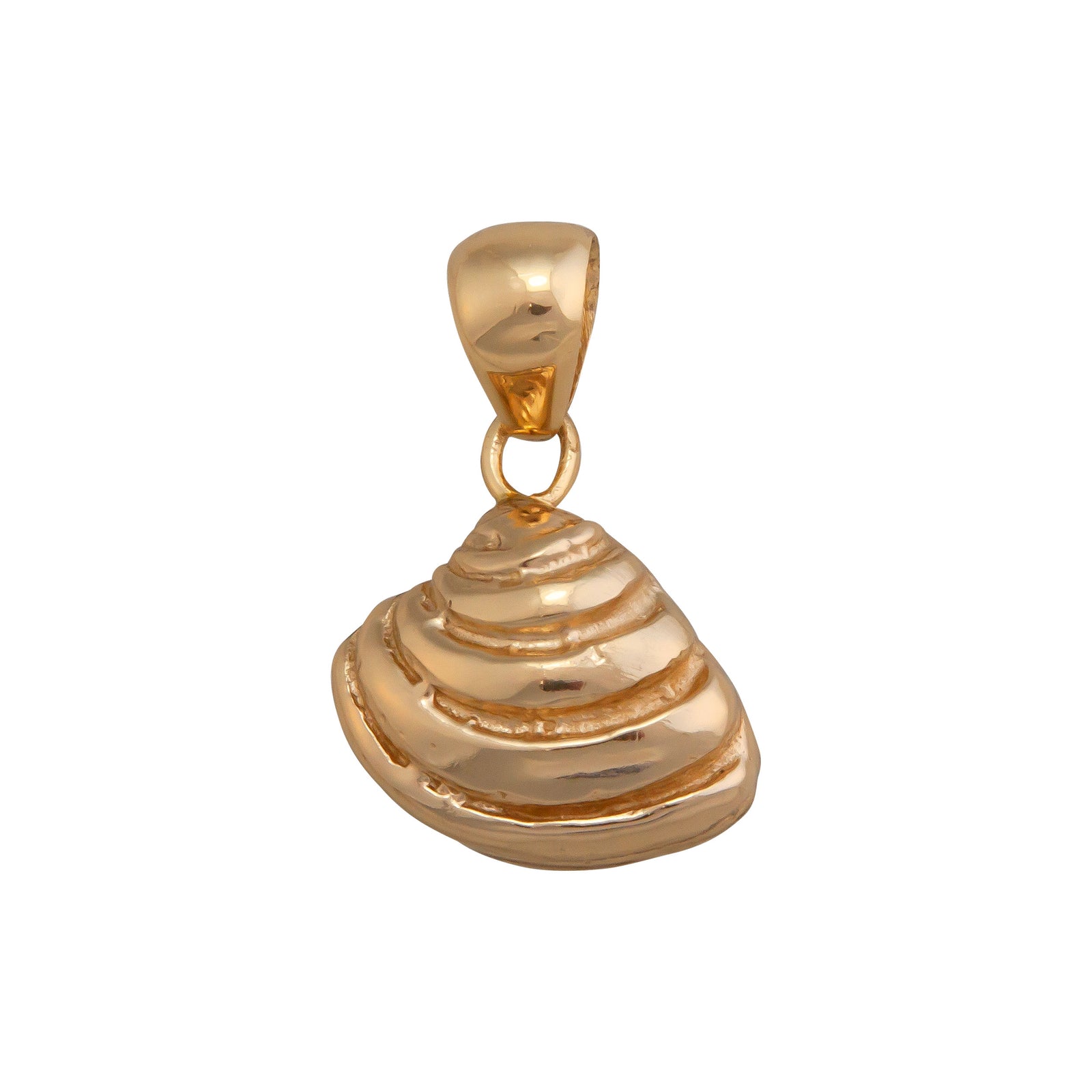 Alchemia Pawley's Island Shell Pendant | Charles Albert Jewelry