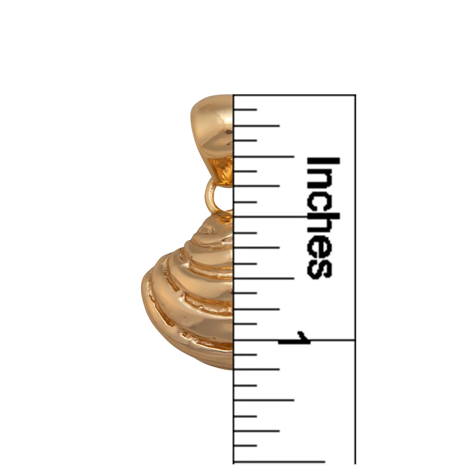 Alchemia Pawley's Island Shell Pendant | Charles Albert Jewelry