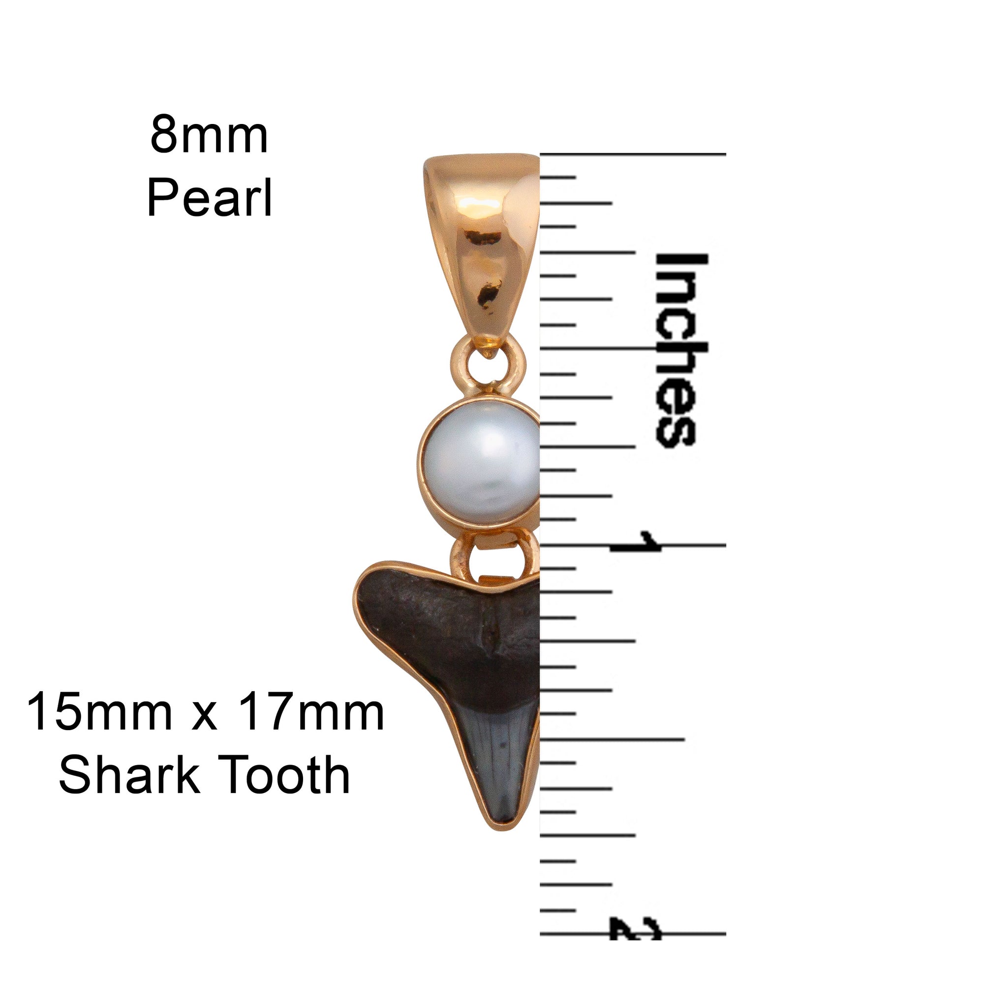 Alchemia Pearl and Shark Tooth Pendant | Charles Albert Jewelry