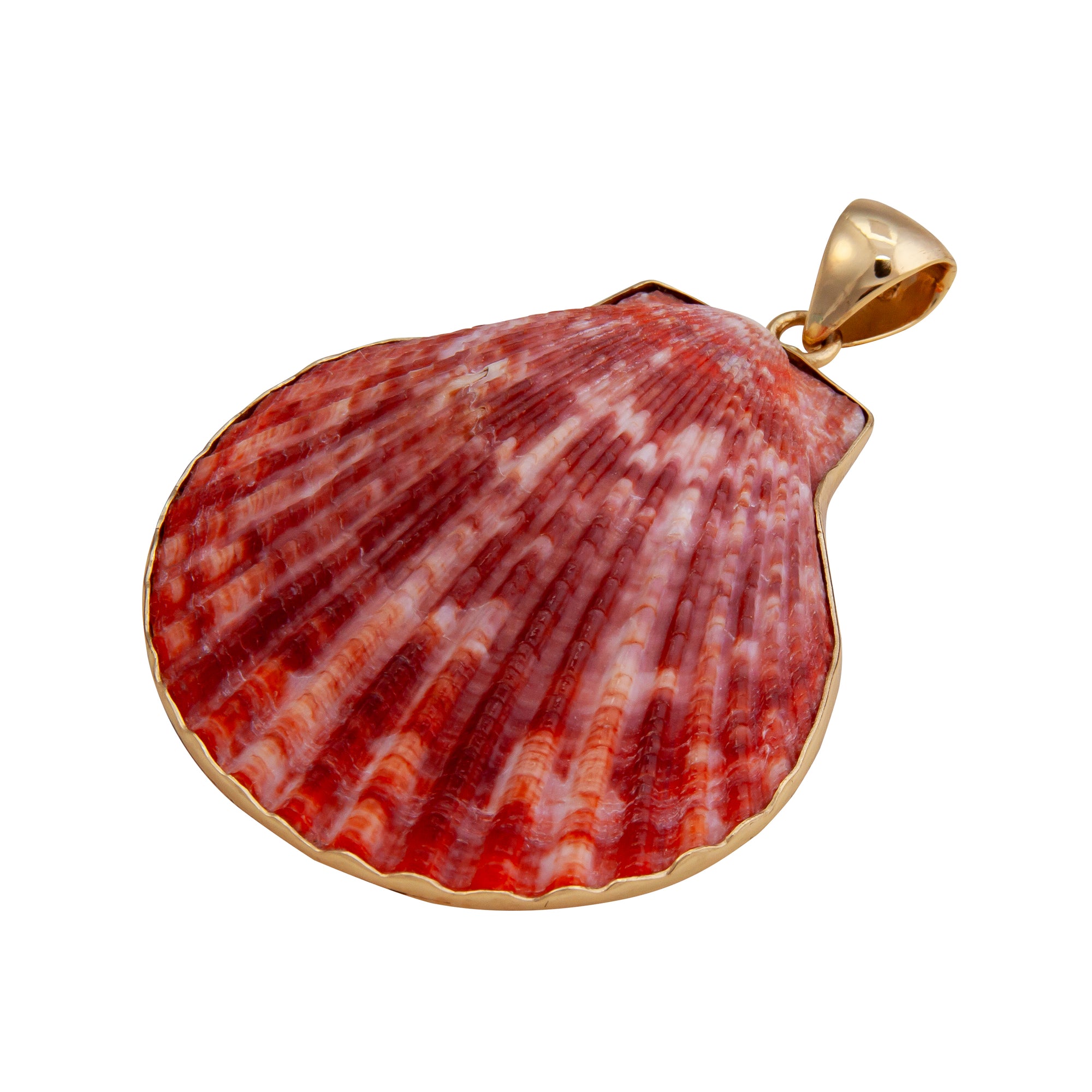 Alchemia Pectin Shell Pendant | Charles Albert Jewelry