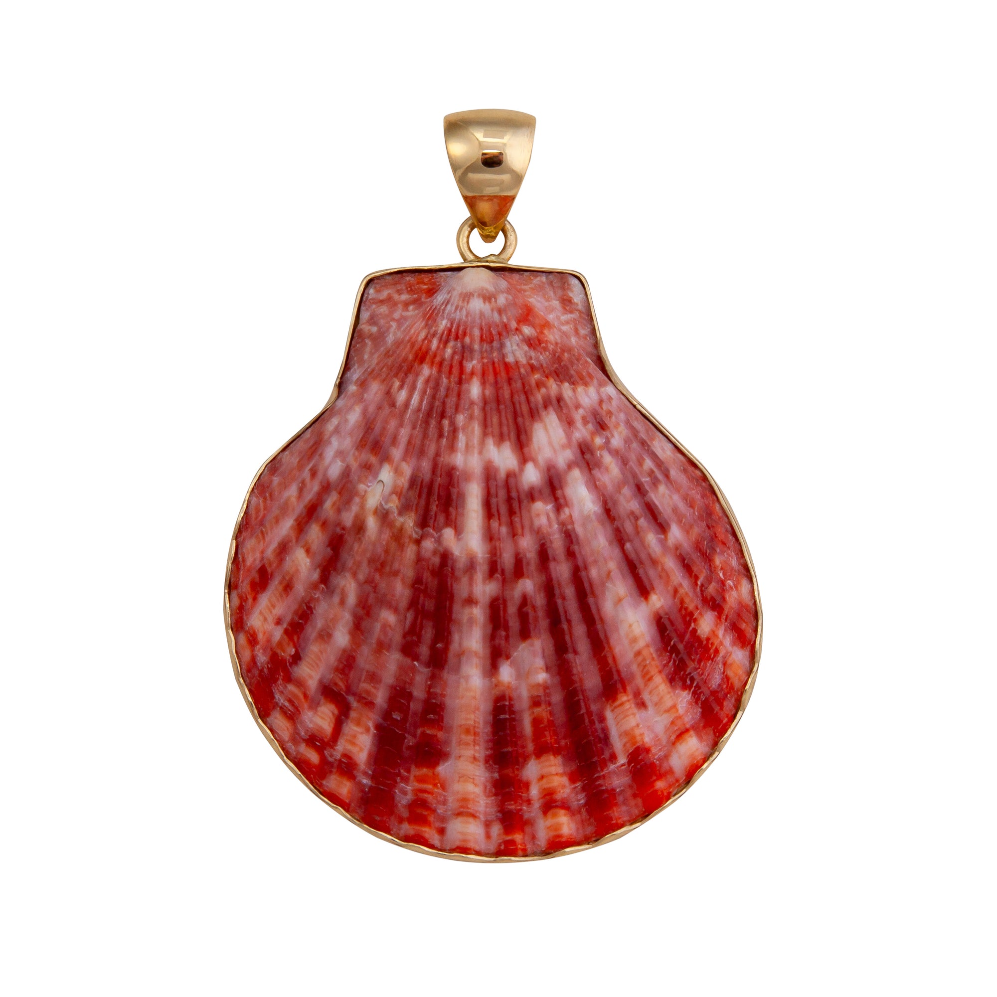 Alchemia Pectin Shell Pendant | Charles Albert Jewelry