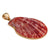 Alchemia Pectin Shell Pendant | Charles Albert Jewelry