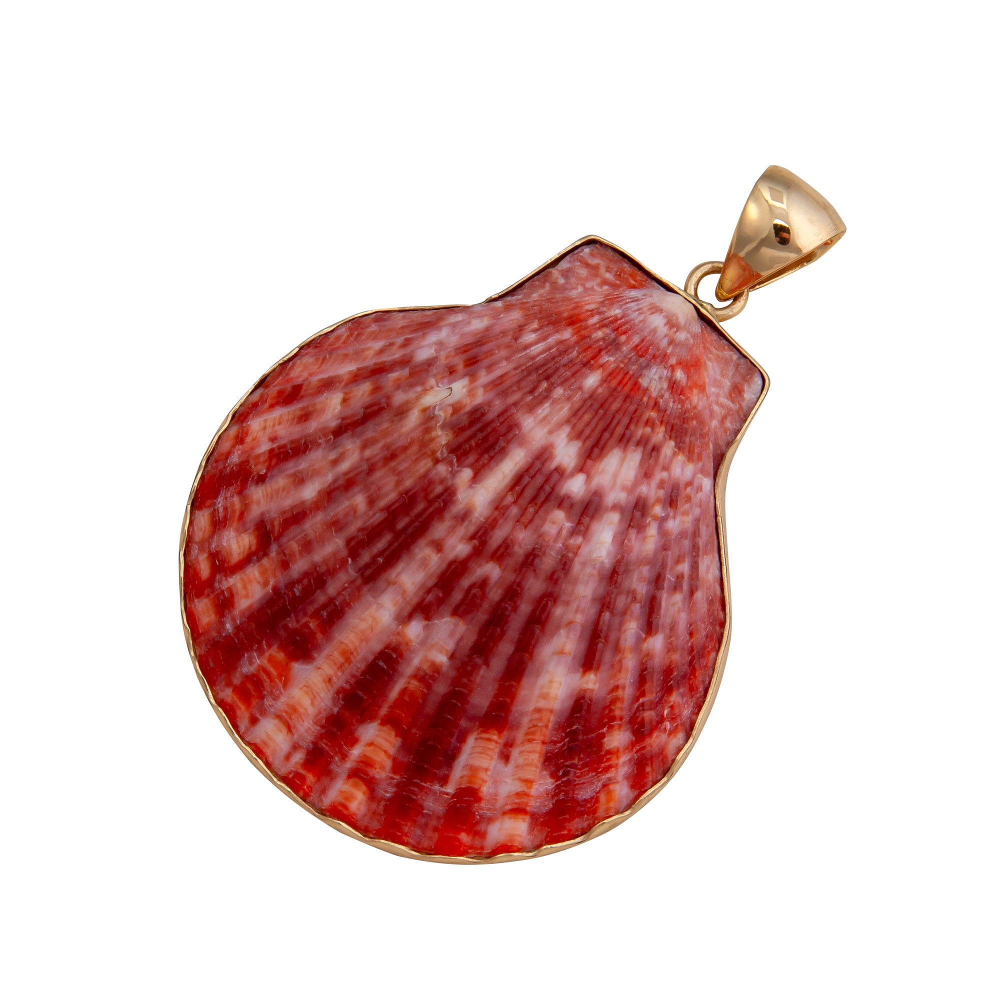 Alchemia Pectin Shell Pendant | Charles Albert Jewelry