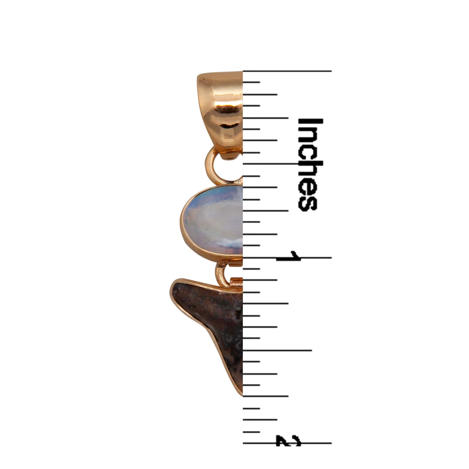 Alchemia Rainbow Moonstone & Shark Tooth Pendant | Charles Albert Jewelry