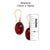 Alchemia Red Abalone Drop Earrings | Charles Albert Jewelry