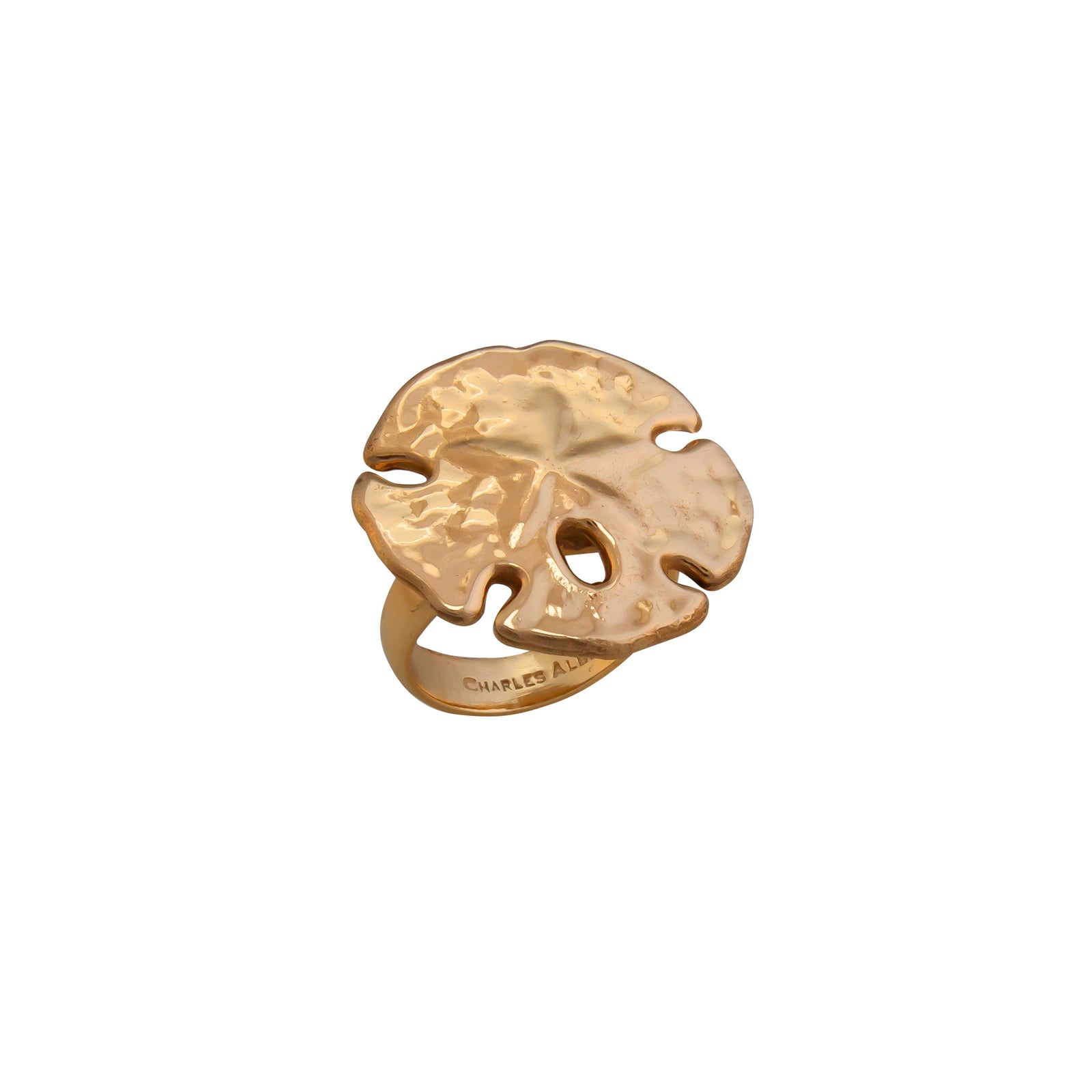 Alchemia Sand Dollar Adjustable Ring | Charles Albert Jewelry