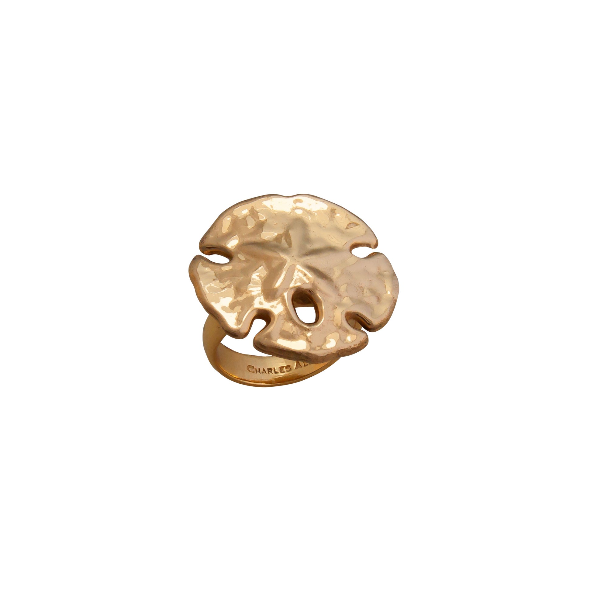 Alchemia Sand Dollar Adjustable Ring | Charles Albert Jewelry