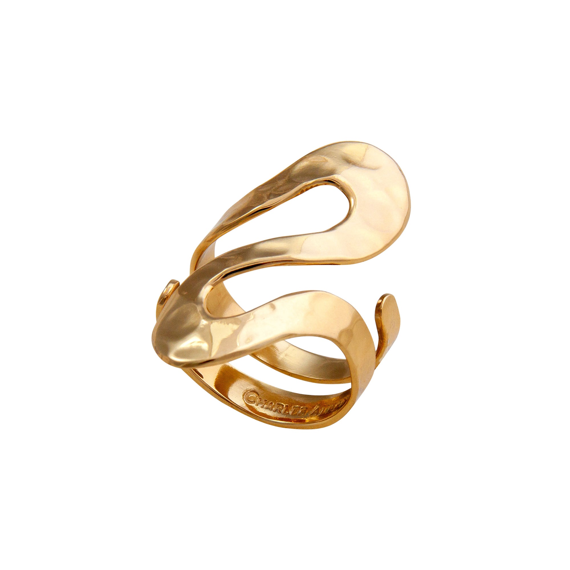 Alchemia Serpentine Hammered Adjustable Ring | Charles Albert Jewelry