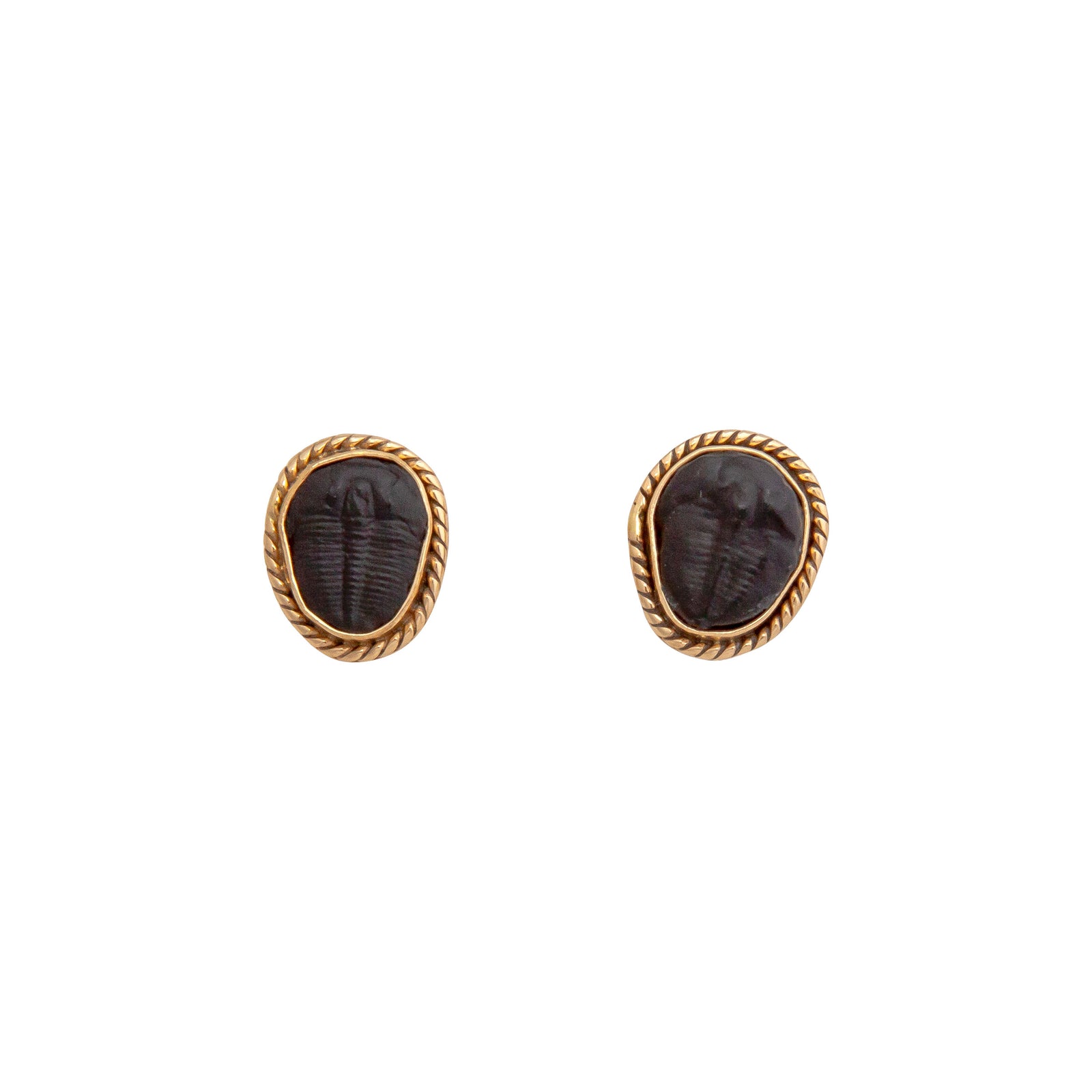 Alchemia Trilobite Rope Post Earrings | Charles Albert Jewelry