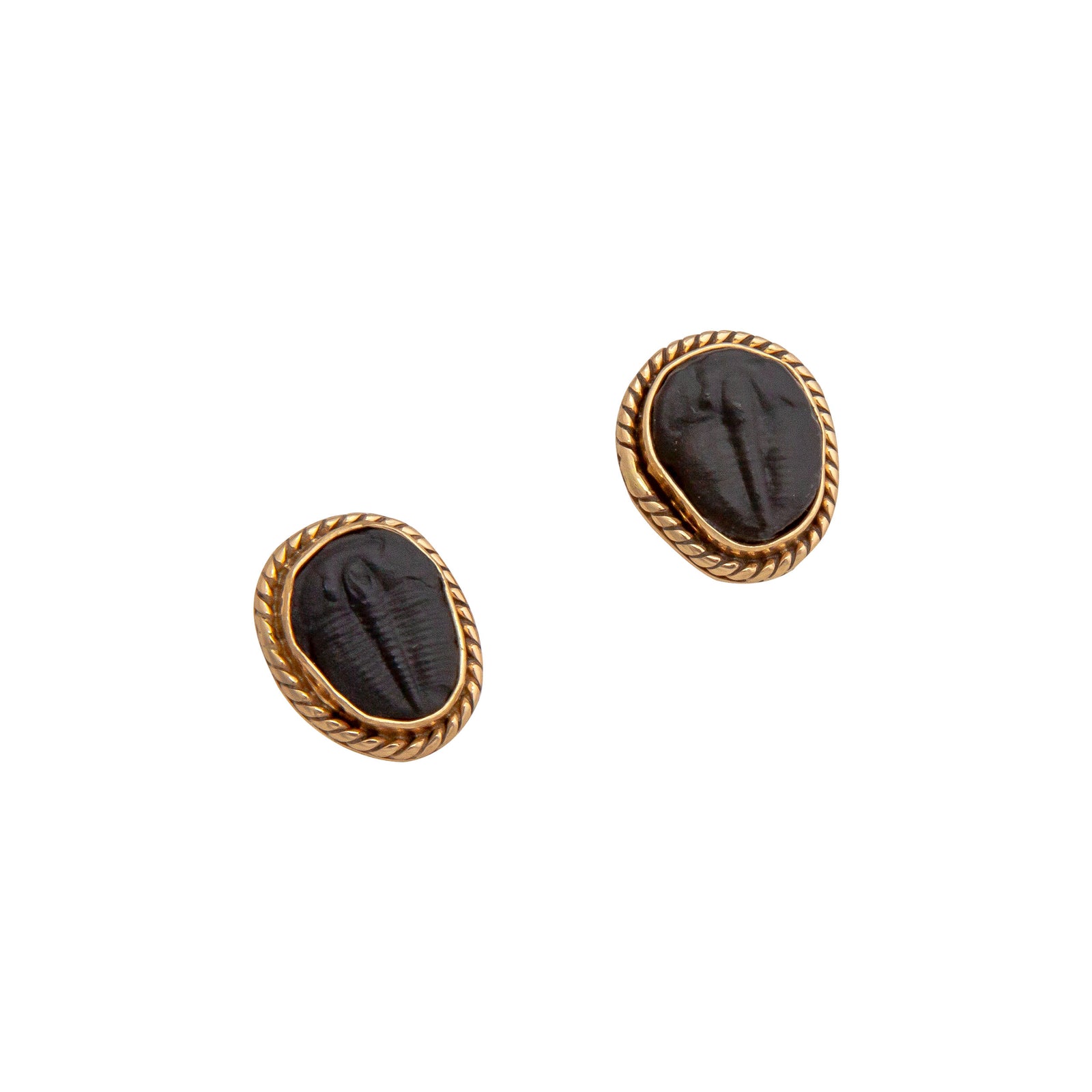 Alchemia Trilobite Rope Post Earrings | Charles Albert Jewelry