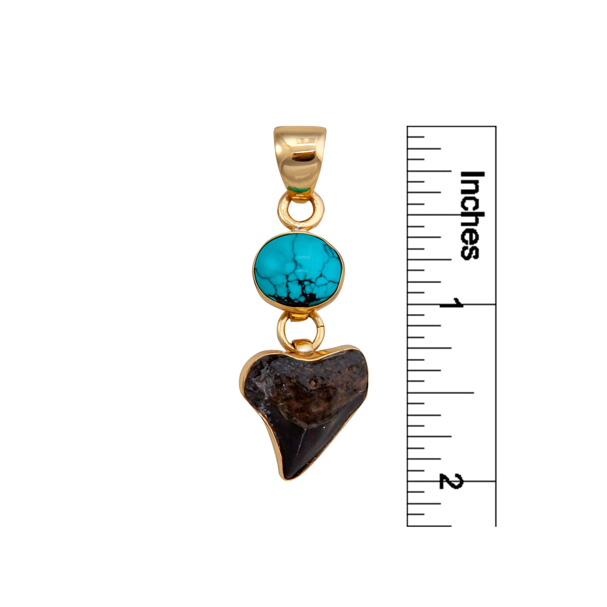Alchemia Turquoise & Shark Tooth Pendant | Charles Albert Jewelry