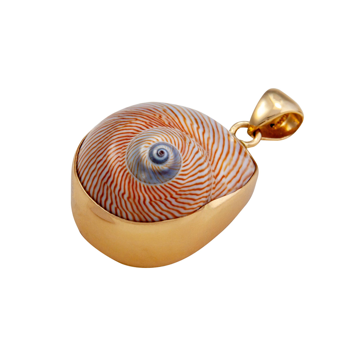 Alchemia Whale Eye Shell Pendant | Charles Albert Jewelry