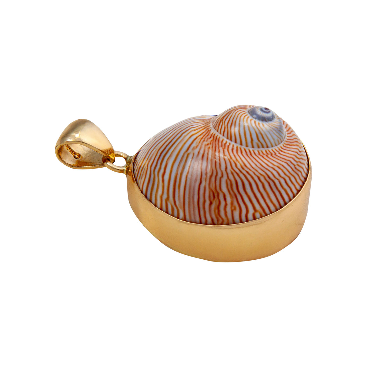 Alchemia Whale Eye Shell Pendant | Charles Albert Jewelry