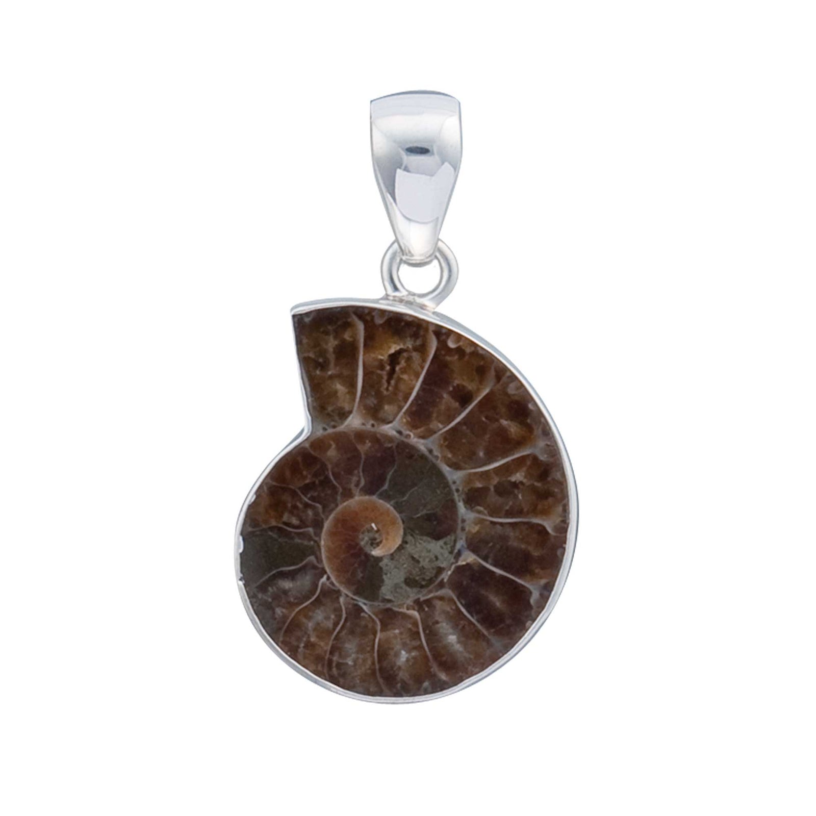 Sterling Silver Ammonite Pendant | Charles Albert Jewelry