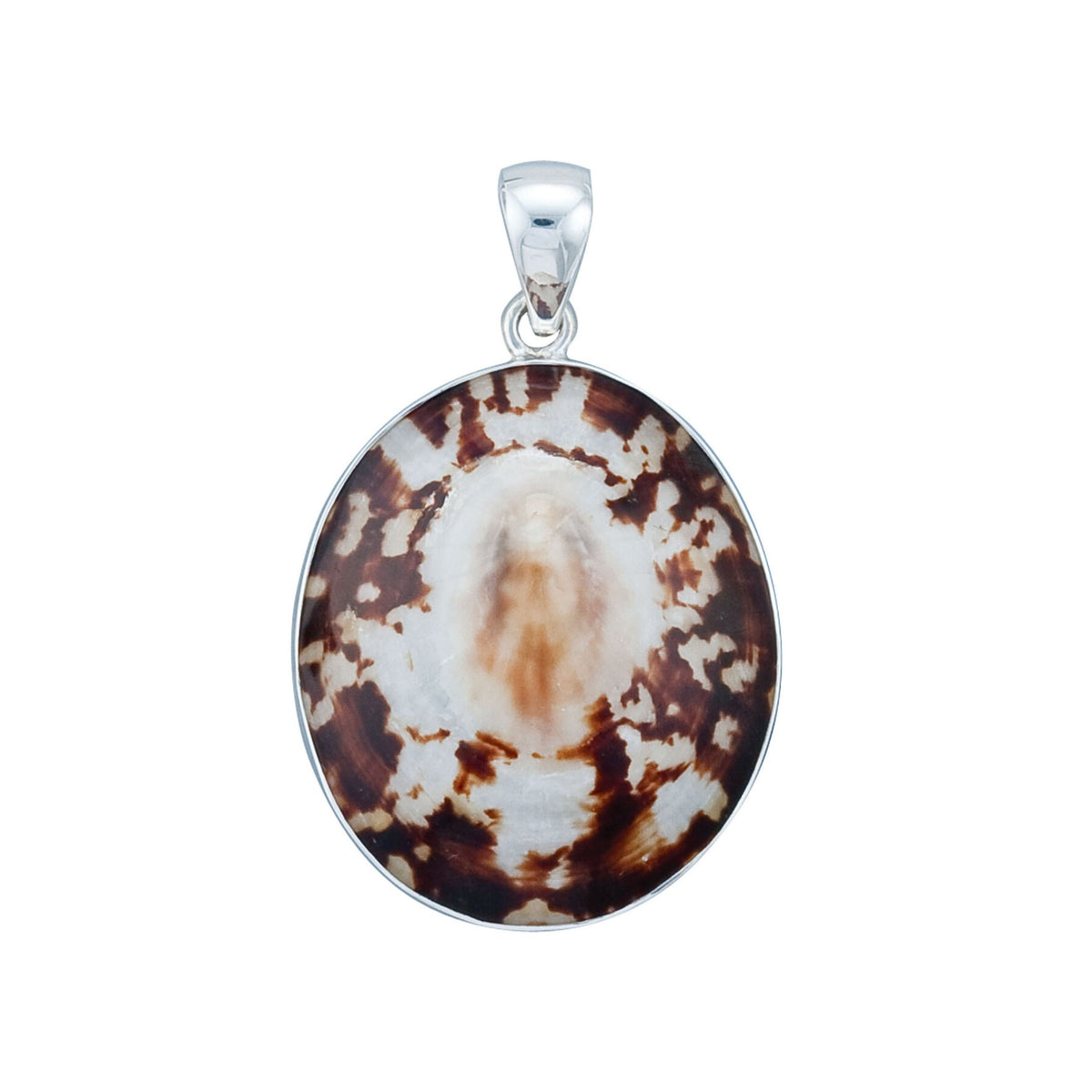 Sterling Silver Limpet Shell Pendant | Charles Albert Jewelry