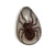 Sterling Silver Recluse Brown Spider Glow in the Dark Adjustable Ring | Charles Albert Jewelry