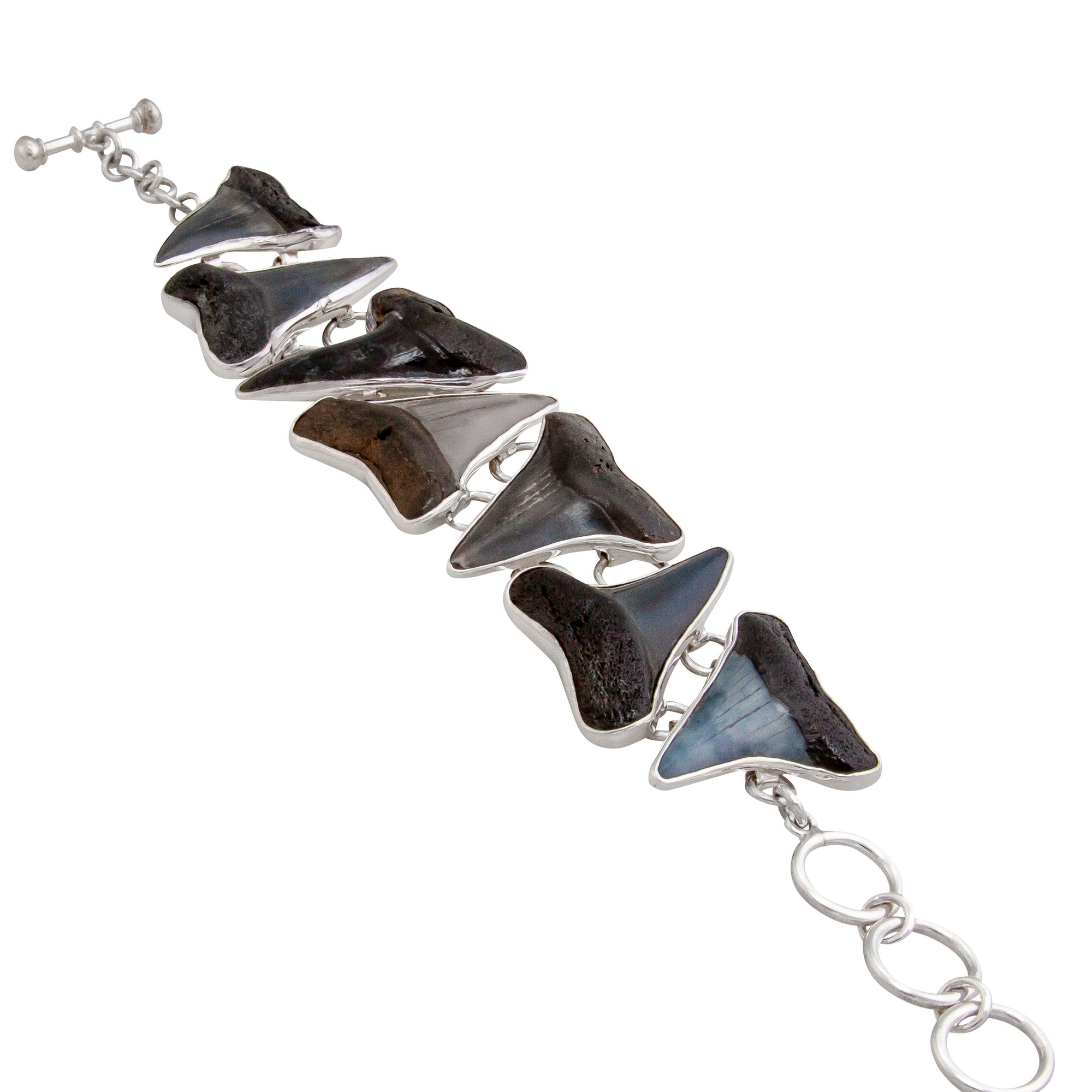 Sterling Silver Shark Tooth Bracelet | Charles Albert Jewelry