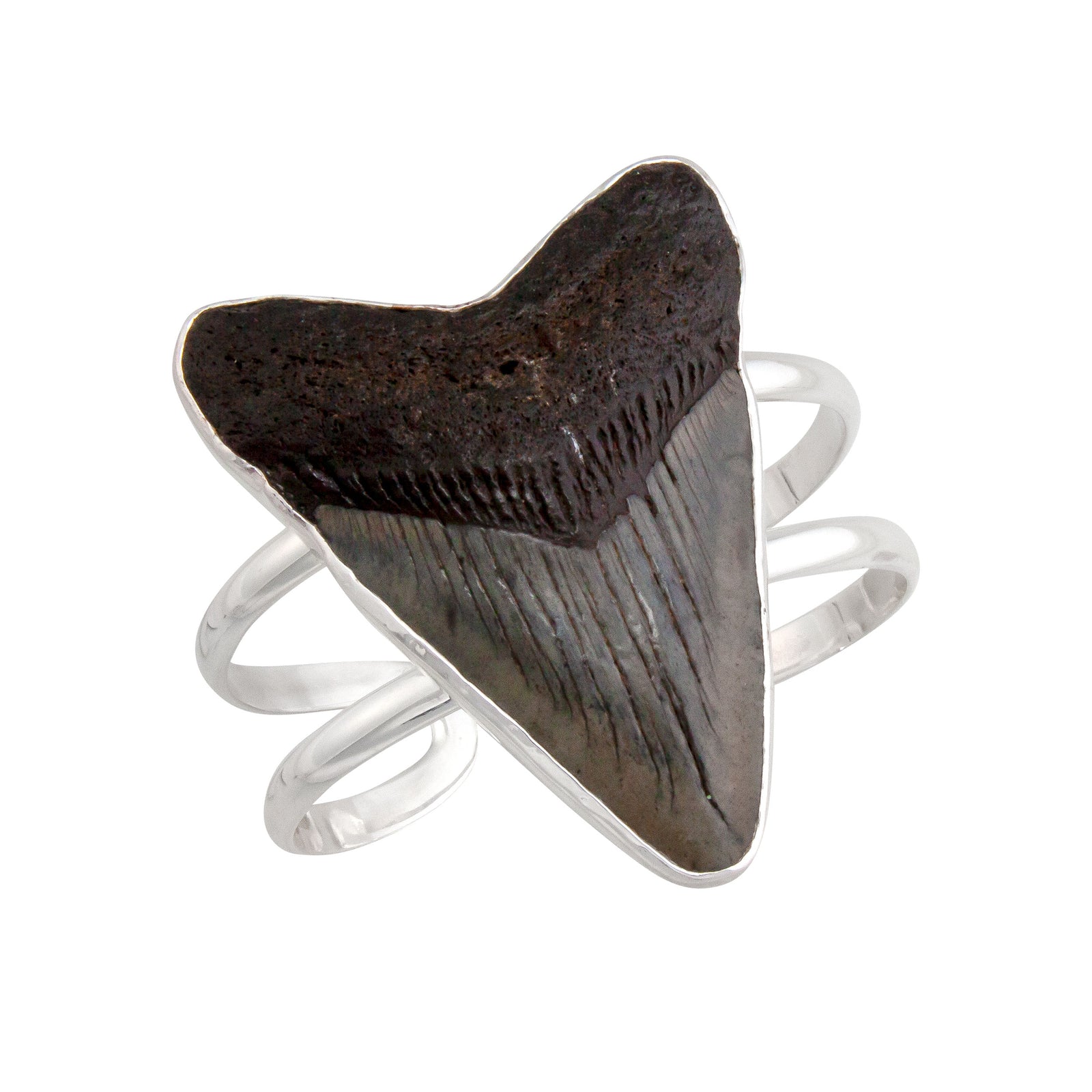 Sterling Silver Shark Tooth Double Band Cuff | Charles Albert Jewelry