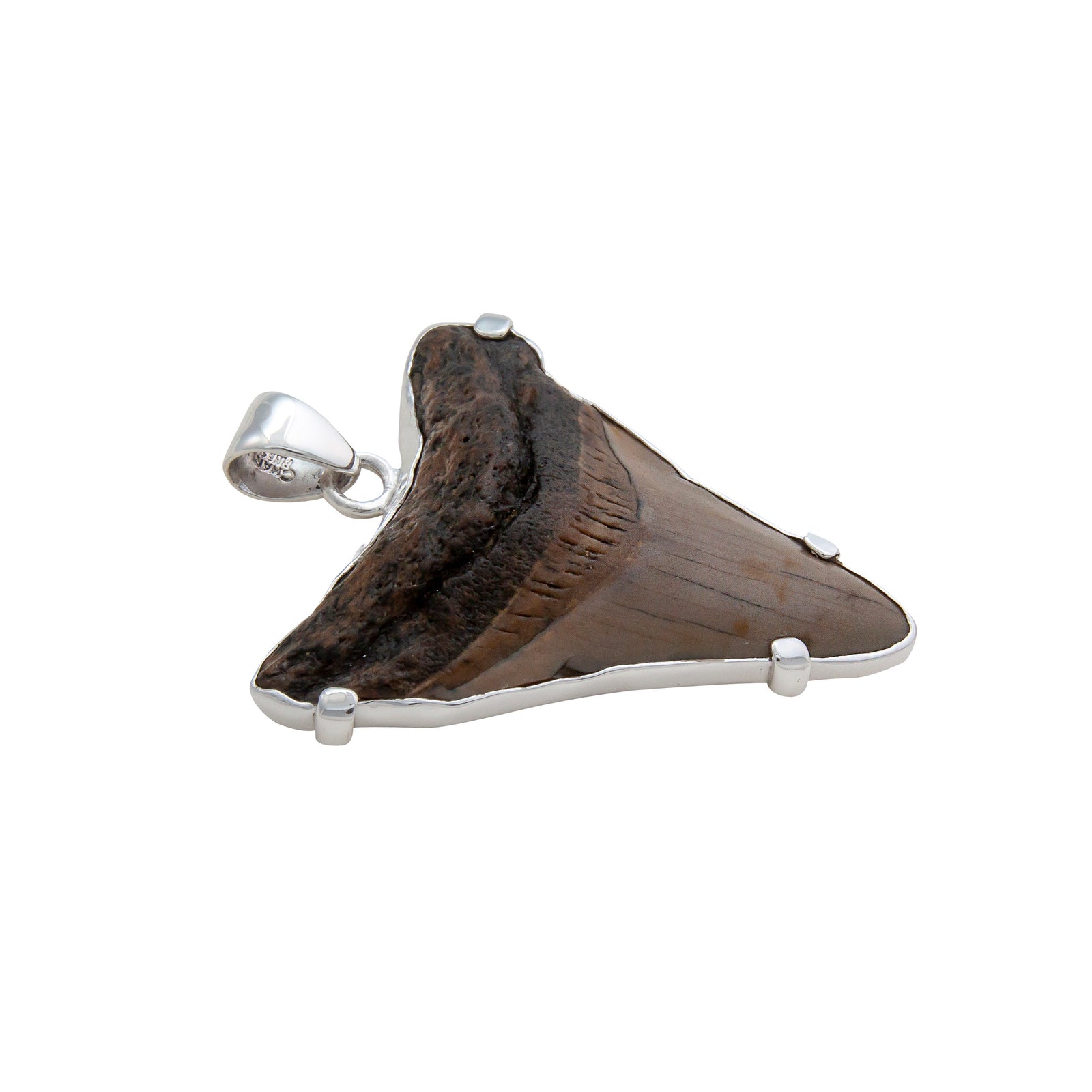 Sterling Silver Shark Tooth Prong Set Pendant | Charles Albert Jewelry