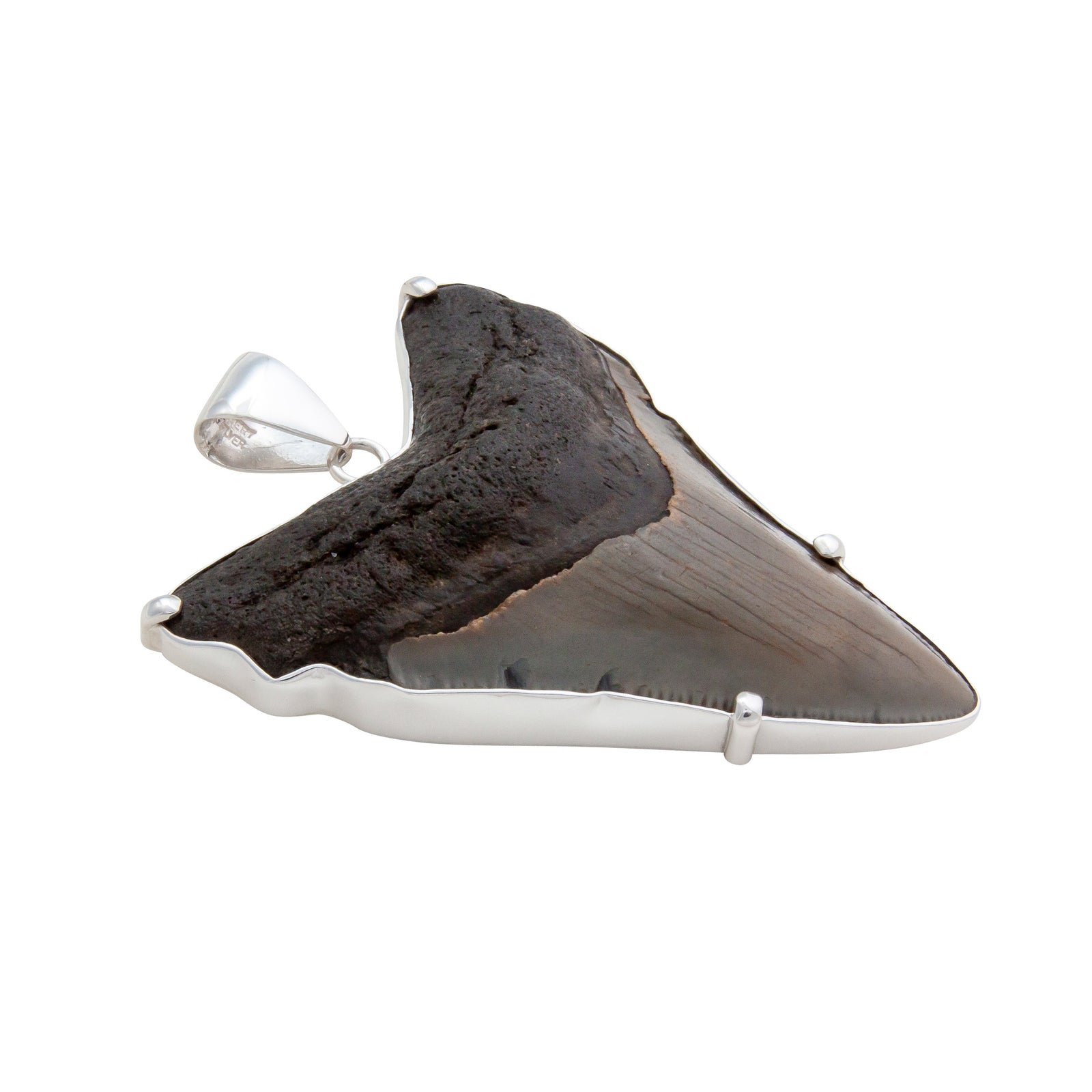 Sterling Silver Shark Tooth Prong Set Pendant | Charles Albert Jewelry