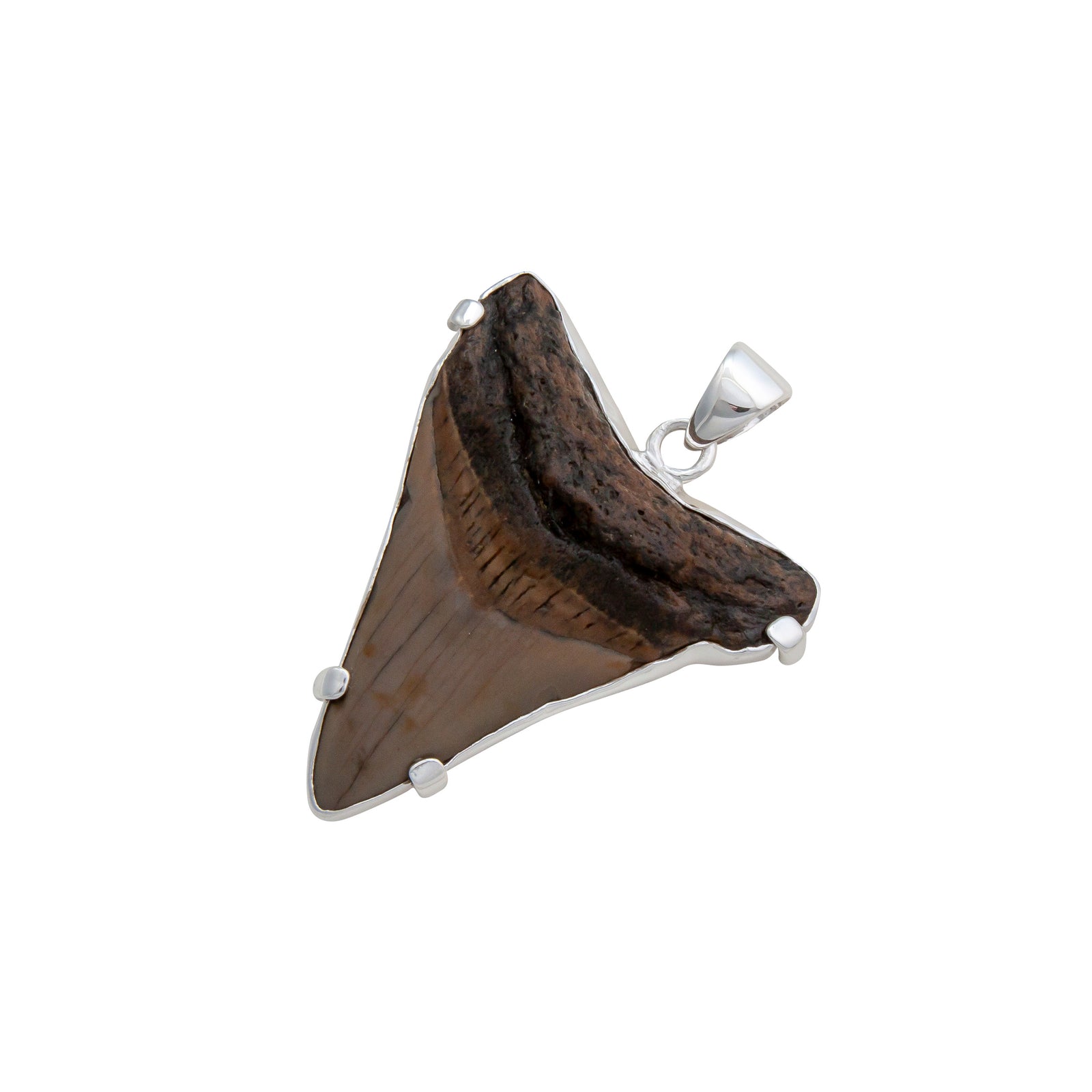 Sterling Silver Shark Tooth Prong Set Pendant | Charles Albert Jewelry