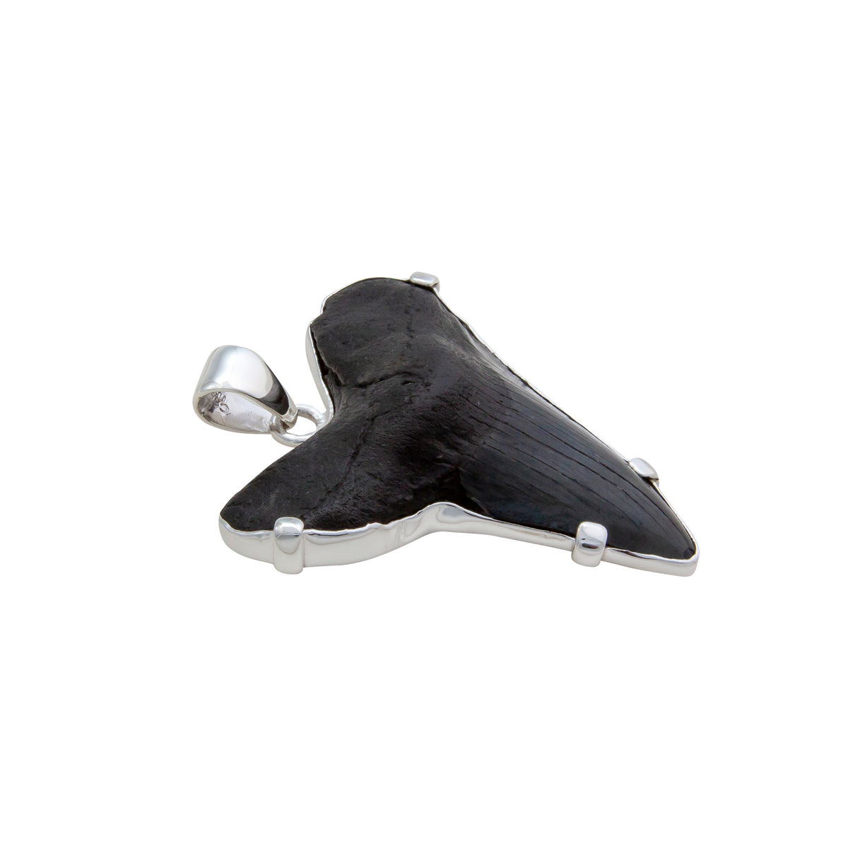 Sterling Silver Shark Tooth Prong Set Pendant | Charles Albert Jewelry