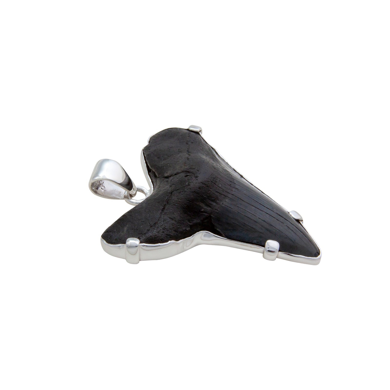 Sterling Silver Shark Tooth Prong Set Pendant | Charles Albert Jewelry