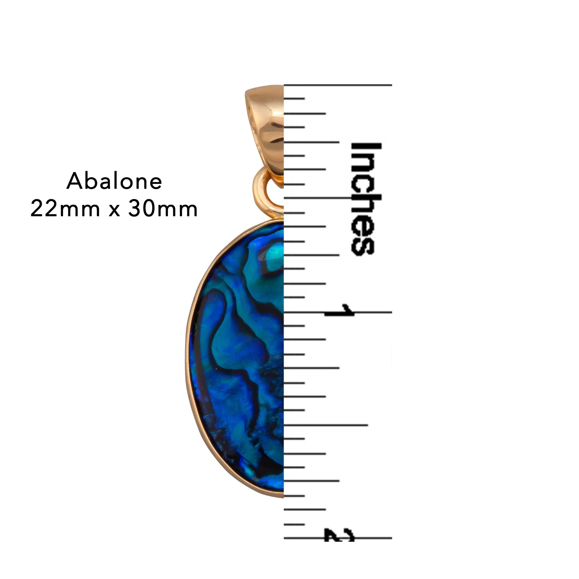 Charles Albert Jewelry - Alchemia Abalone Pendant - Blue - Measurements