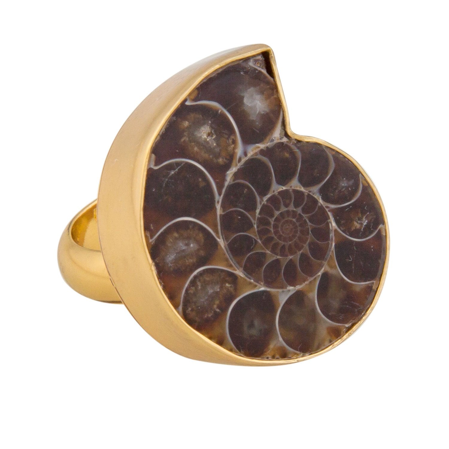 Charles Albert Jewelry - Alchemia Ammonite Adjustable Ring