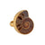 Charles Albert Jewelry - Alchemia Ammonite Adjustable Ring - Side View