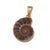 Charles Albert Jewelry - Alchemia Ammonite Pendant - Front View