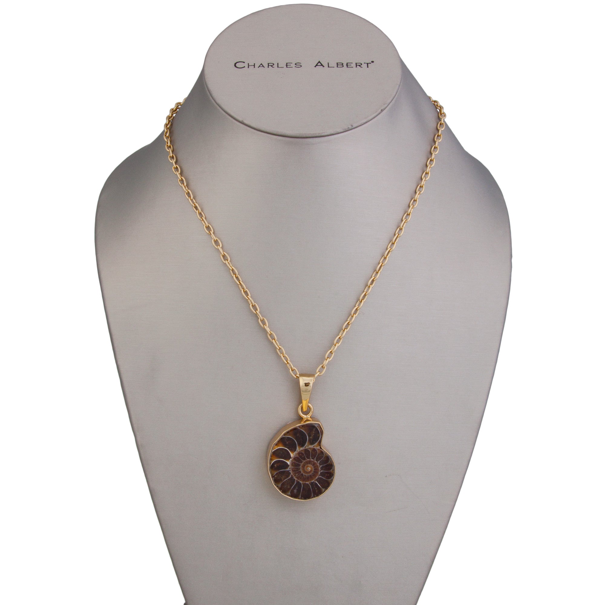 Charles Albert Jewelry - Alchemia Ammonite Pendant - Front View